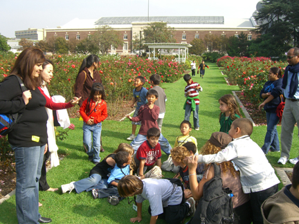 rose garden 3